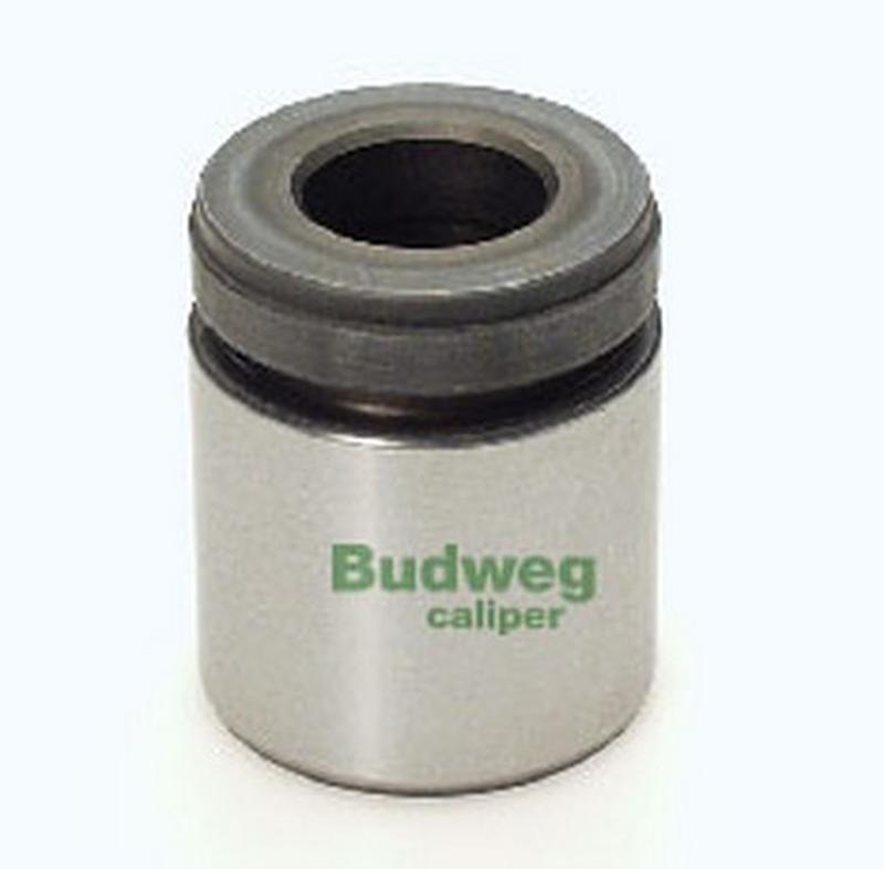 BUDWEG-CALIPER 234034