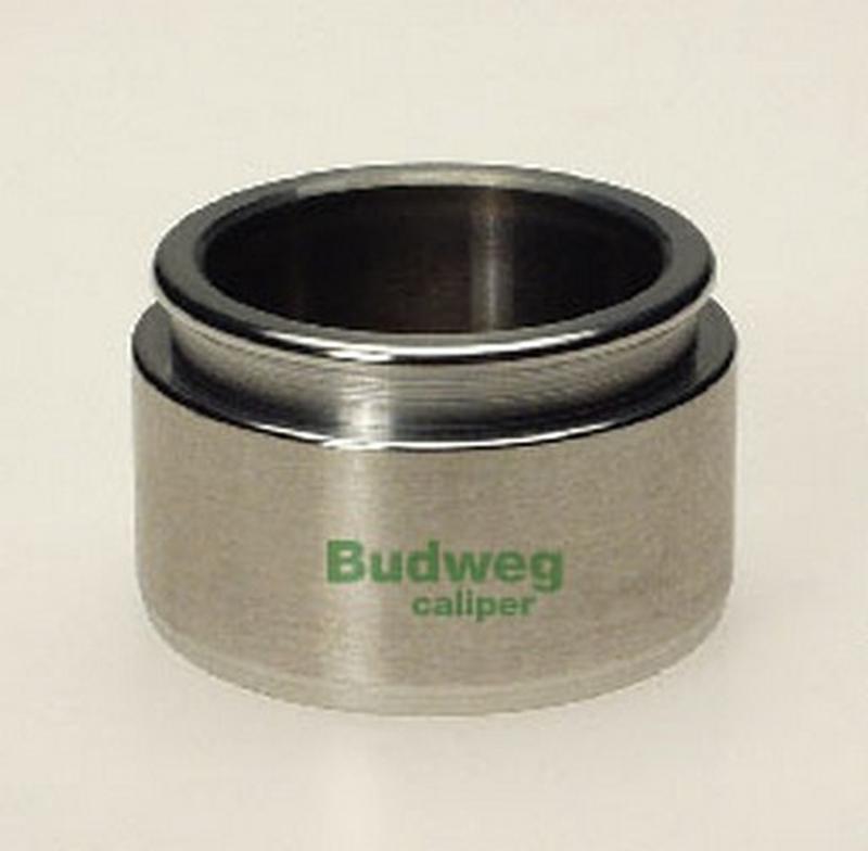BUDWEG-CALIPER 234520
