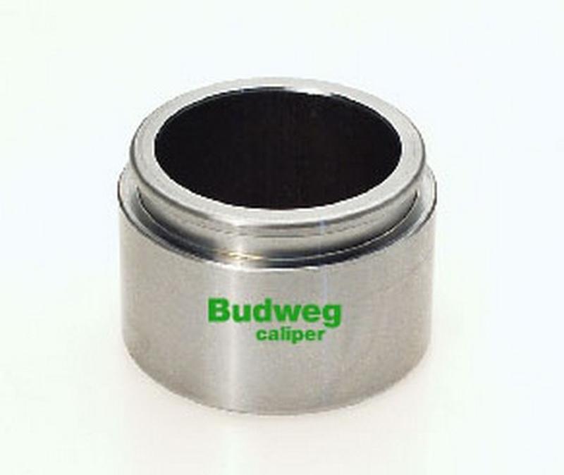 BUDWEG-CALIPER 234525