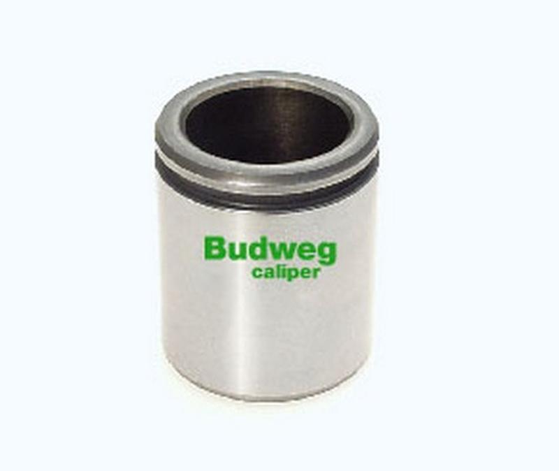 BUDWEG-CALIPER 234856