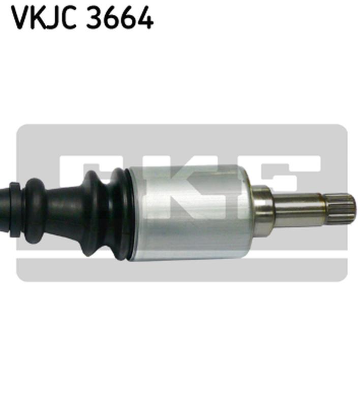 SKF VKJC-3664-3