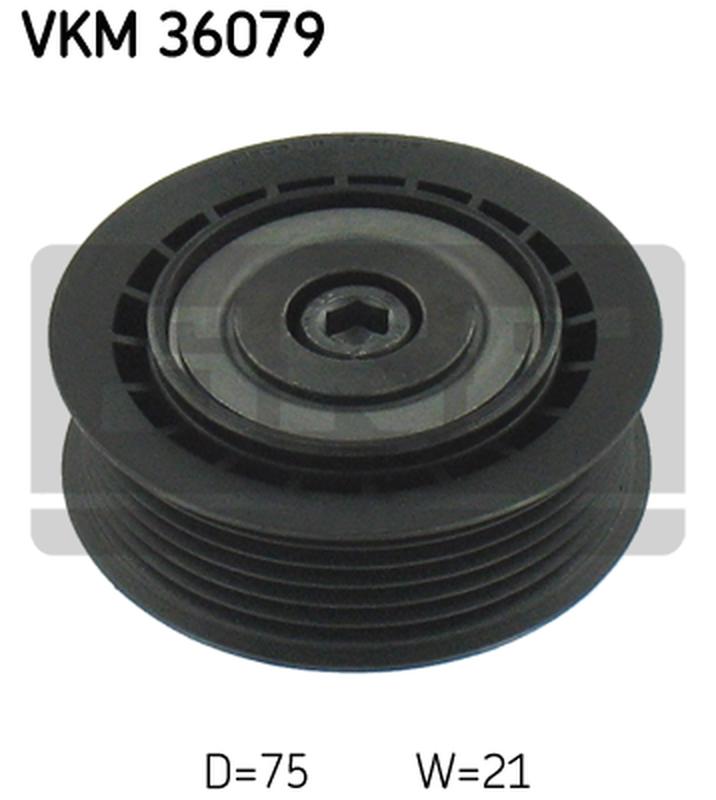 SKF VKM-36079